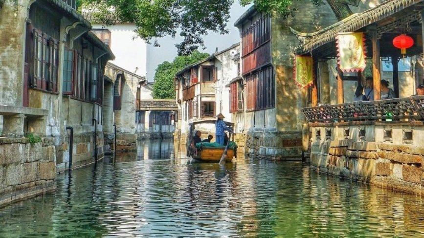 植物大战僵尸6